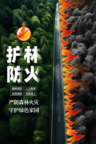 ɭ�ַ���������������