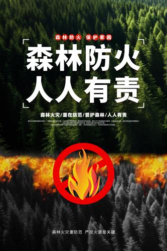 ɭ�ַ���������ȫ������������