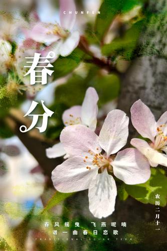 ���ֻ���ʢ������