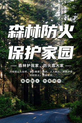 ɭ�ַ�����������