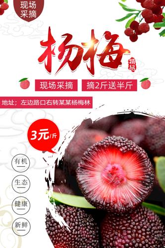 ��ժ��÷��溣��