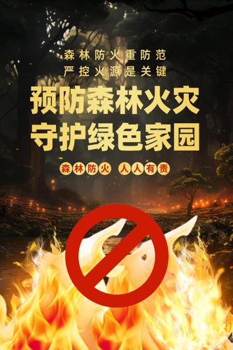 ɭ�ַ�����������