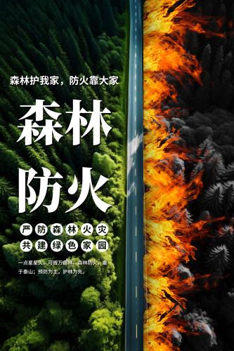 ɭ�ַ�����������