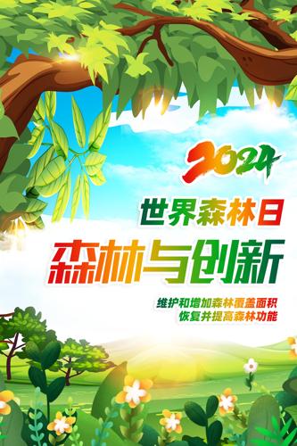 ����2024������ɭ������������