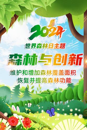 2024������ɭ���������������