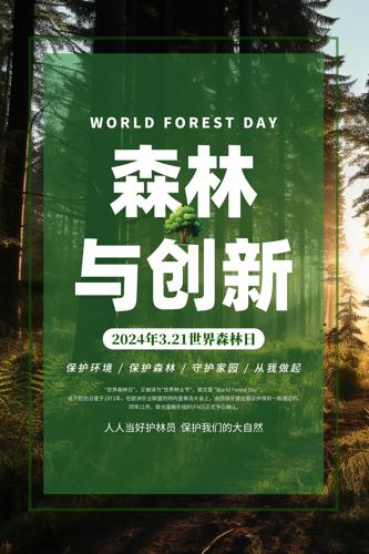 2024������ɭ������������