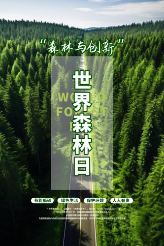 2024������ɭ���ջ����