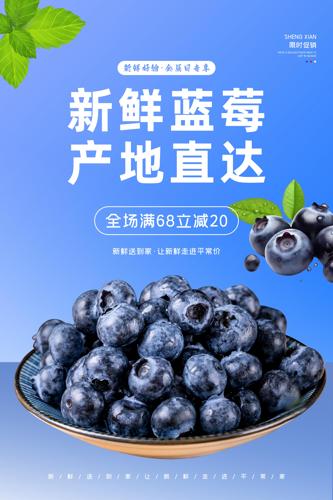 ��ݮˮ������