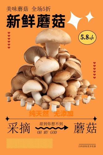 Ģ���߲˺���