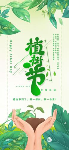 ��ɫС����312ֲ����ֲ���ֻ�����