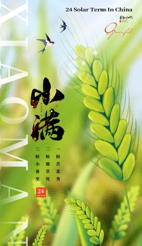 ��Լ��ʮ�Ľ���С�����պ���