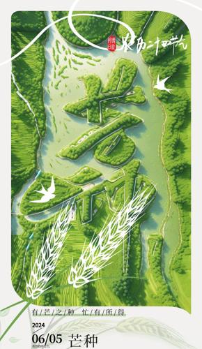 ����â�ֽ�������