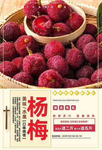 ��÷ˮ������