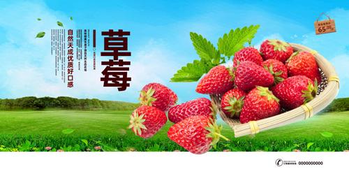 ��ݮˮ����������