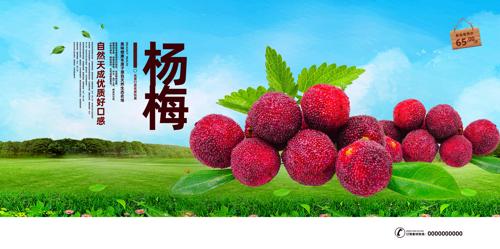 ��÷ˮ����������