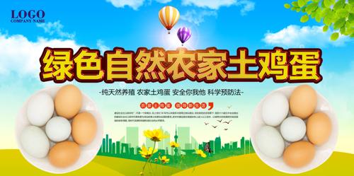 ũ������������