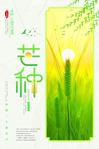 Լ紫ͳâ