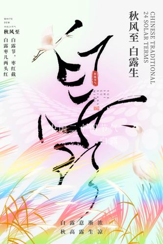 ¶鷨⾳պ