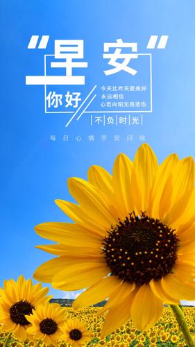 տ簲ǩ