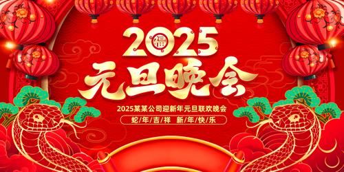 2025괺Ԫ̨չ