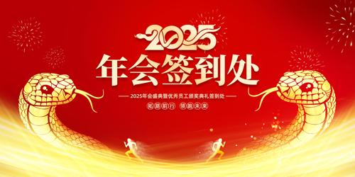 2025깫˾ǩչ