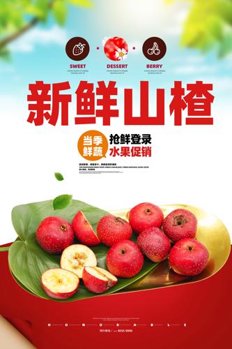 ɽ���������