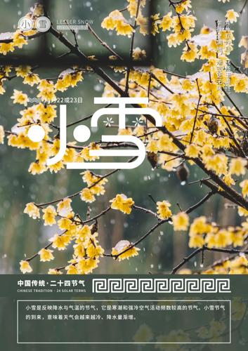 ��ʮ�Ľ�������Сѩ�������