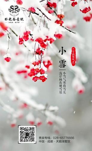 Сѩ�����ֻ��˺���