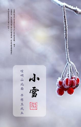 ��Լ��ʮ�Ľ���֮Сѩ����