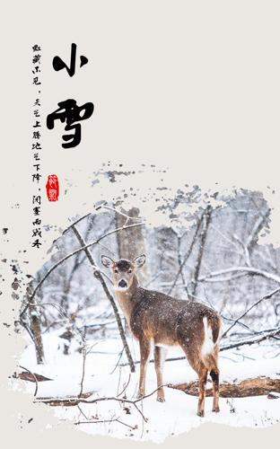 Сѩ�����������