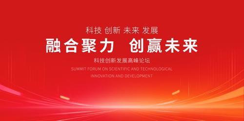 ��˾��ᱳ��