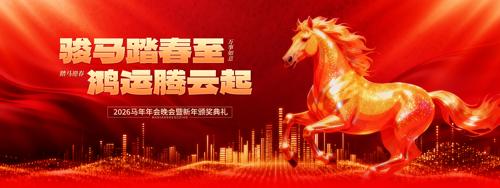 ��˾������걳������