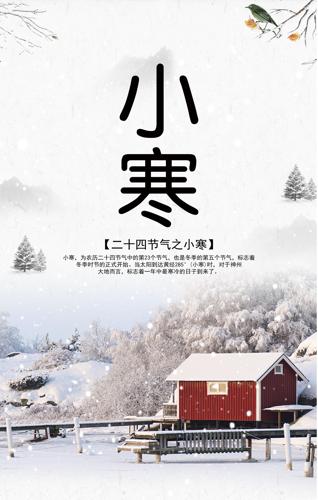 ��ԼС���������