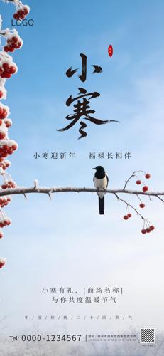 С�����¼�Լ����