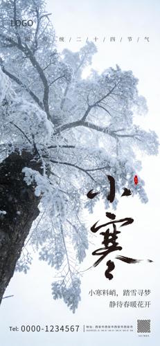 С����Լ����