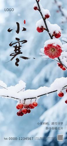 С�����º���