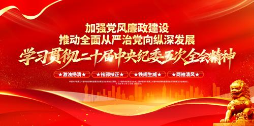 ��ʮ�������ί���ȫ�ᵳ��չ��