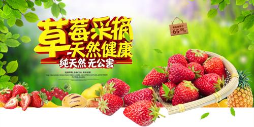 ���ʲ�ݮ��ժ����չ��