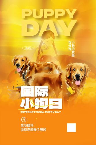 ����С���պ���