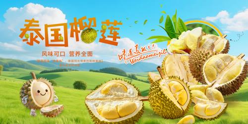 ̩��������������չ��