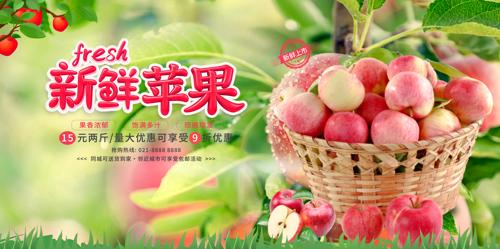 ����ƻ�������������չ��