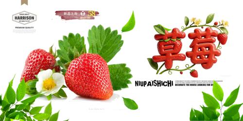 ��ݮ������溣��