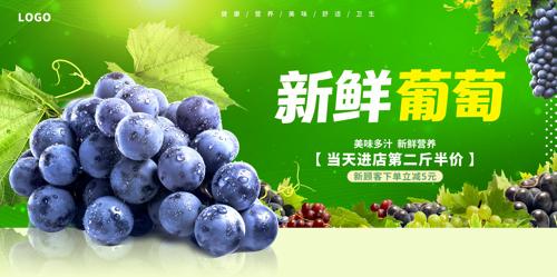 ����������������չ��