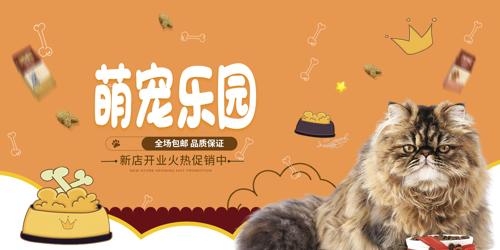 猫咪宠物馆养护海报