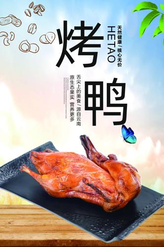 ��ʳ��Ѽ����