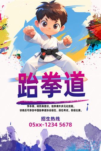 跆拳道海报